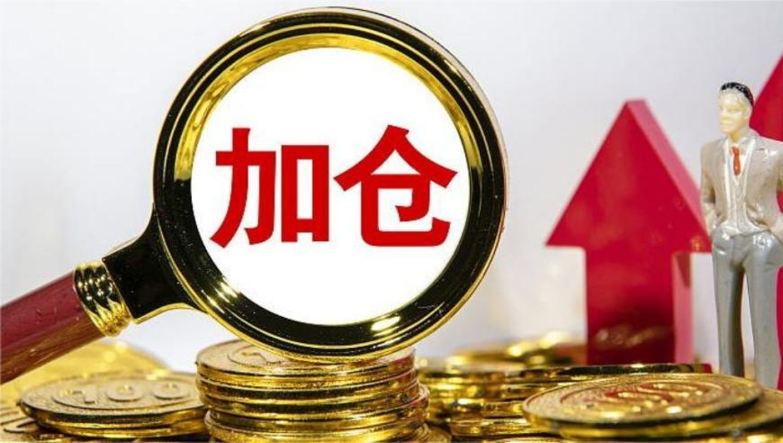 澳门最快最准的资料免费,见证亚洲人民团结和友谊,精准解释落实及其象征意义_钱包版V13.15